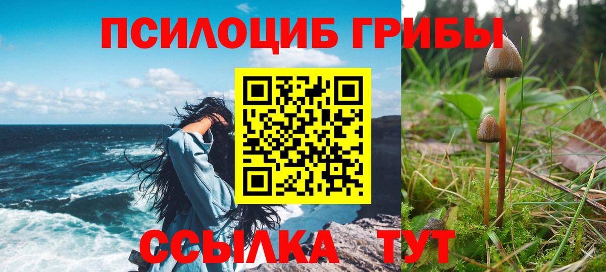 Псилоцибиновые грибы GOLDEN TEACHER Владивосток