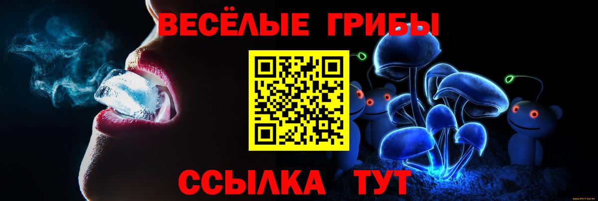 Владивосток  Псилоцибиновые грибы Psilocybe  Вход с VPN 